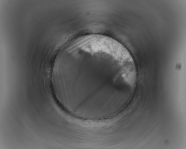 X0000091960018200709271356