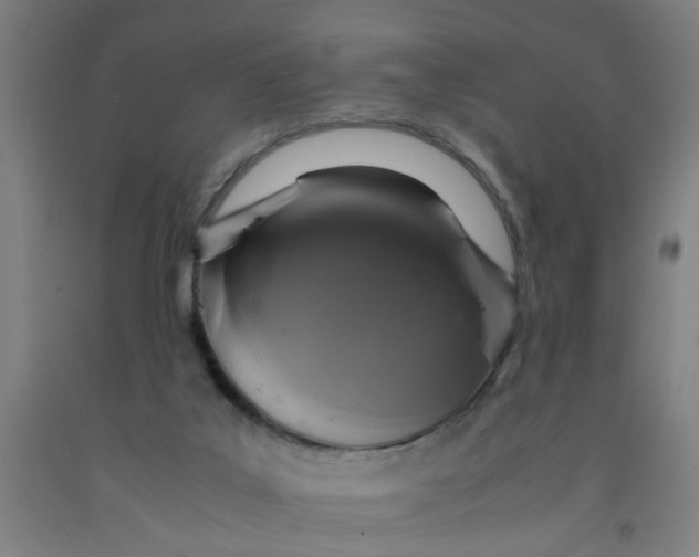 X0000091960019200709271356