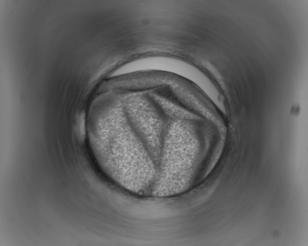 X0000091960020200709271356