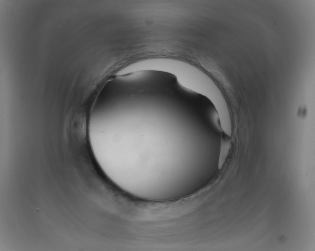 X0000091960021200709271356