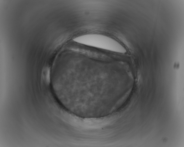 X0000091960022200709271356