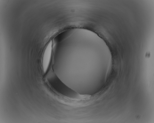 X0000091960023200709271356