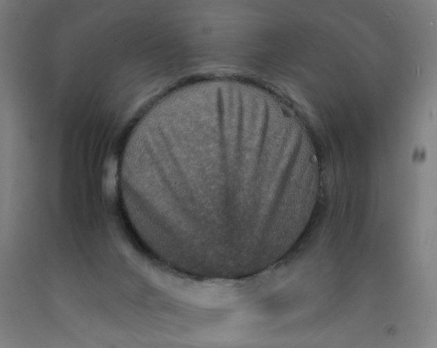 X0000091960024200709271356