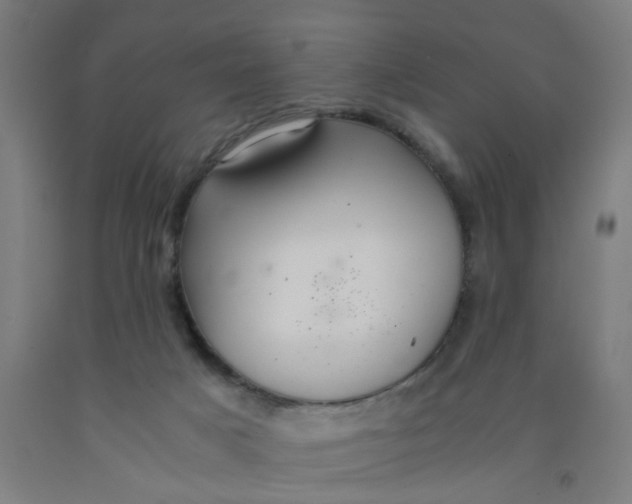 X0000091960025200709271356