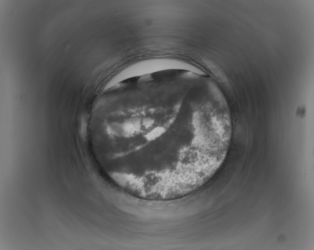 X0000091960026200709271356