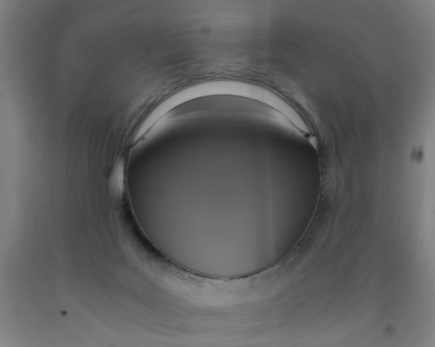 X0000091960027200709271356