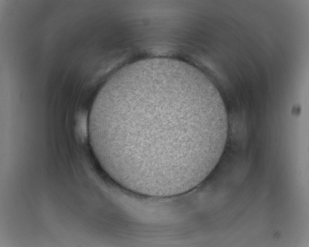 X0000091960028200709271356