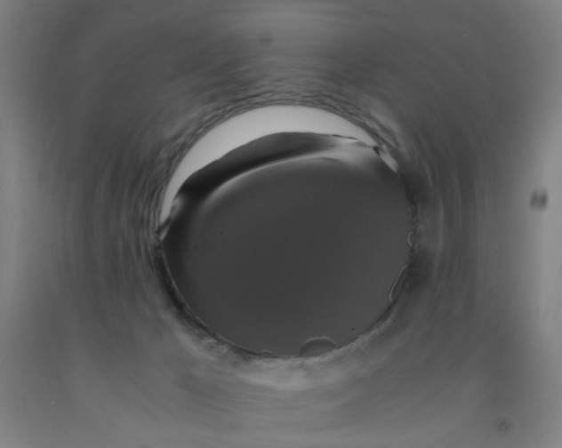 X0000091960029200709271356