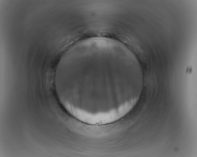 X0000091960030200709271356