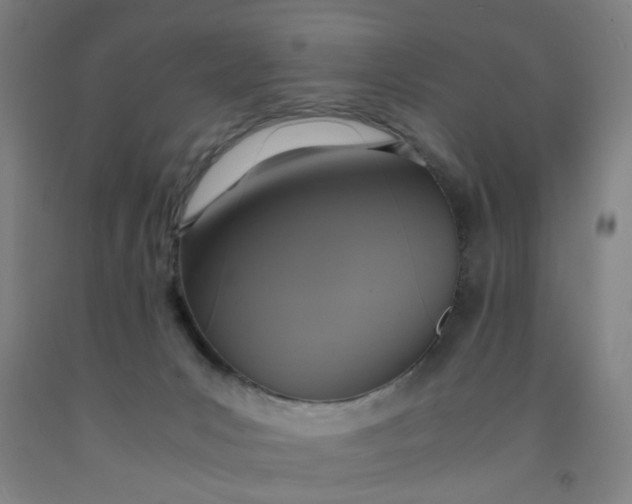 X0000091960031200709271356