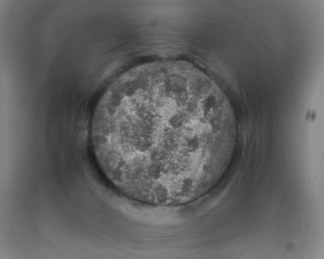 X0000091960032200709271356