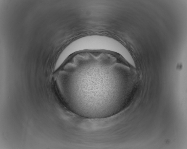 X0000091960033200709271356