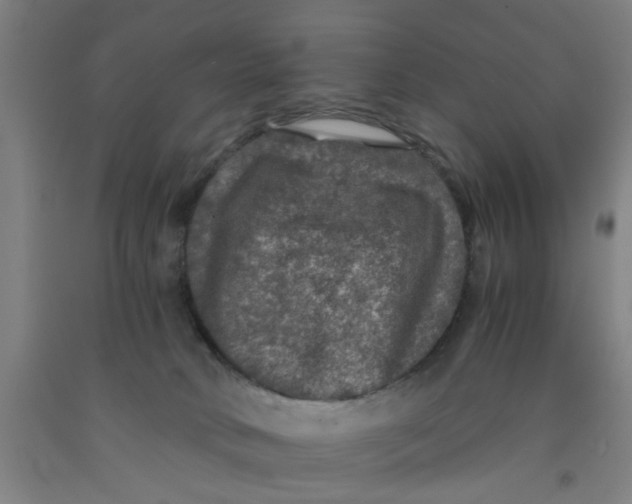 X0000091960034200709271356