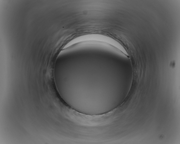 X0000091960035200709271356