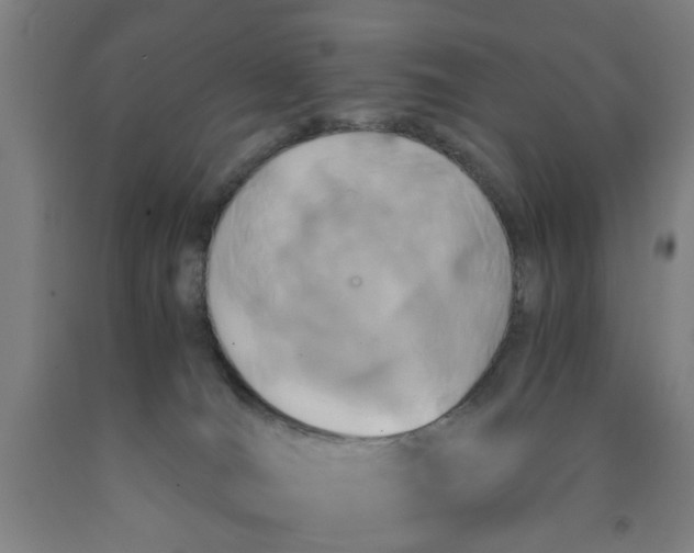 X0000091960036200709271356