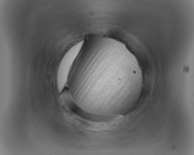 X0000091960037200709271356