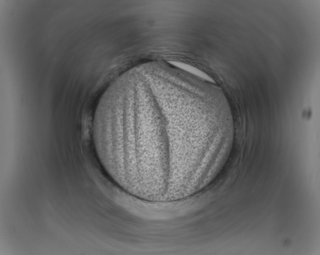 X0000091960038200709271355