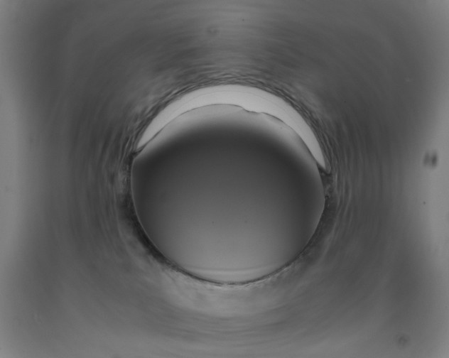 X0000091960039200709271355