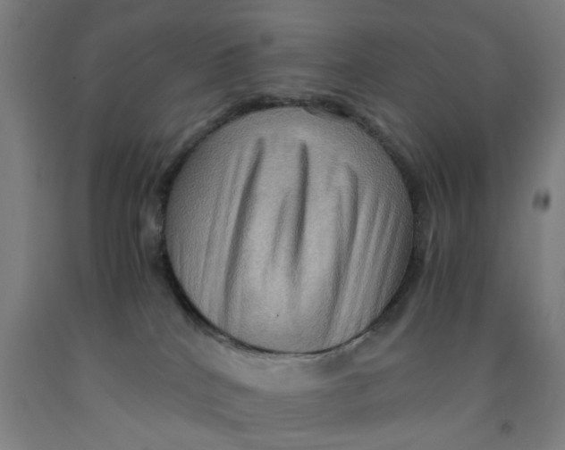 X0000091960040200709271355