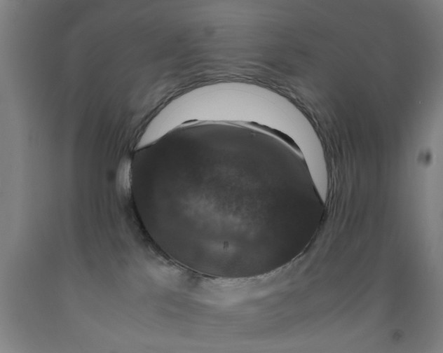 X0000091960041200709271355