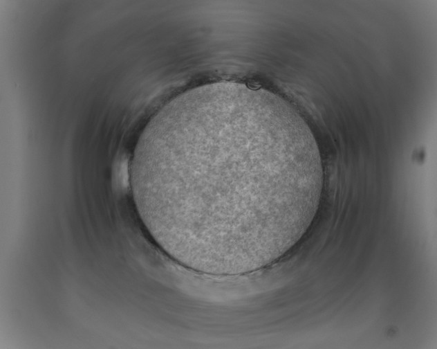 X0000091960042200709271355