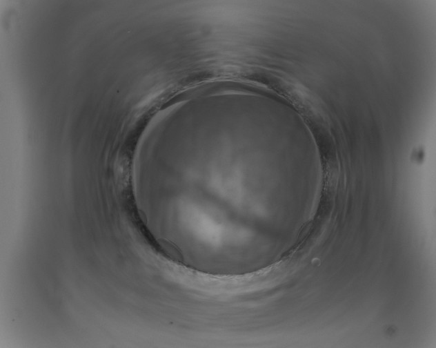 X0000091960043200709271355