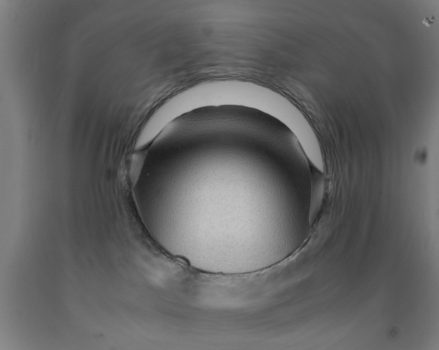 X0000091960045200709271355