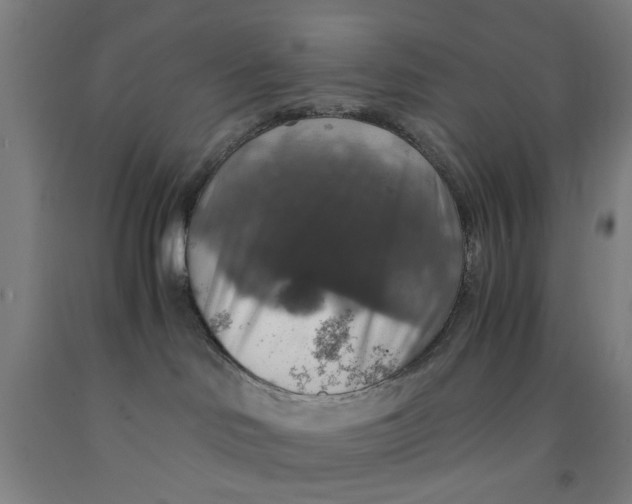X0000091960046200709271355