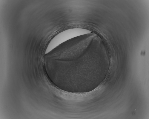X0000091960048200709271355