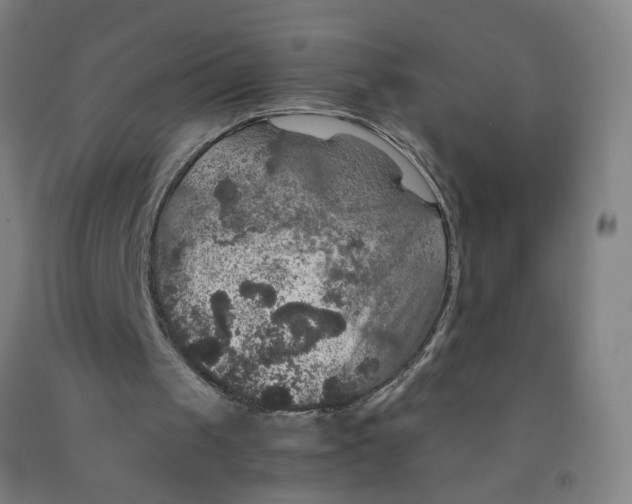 X0000091960049200709271355