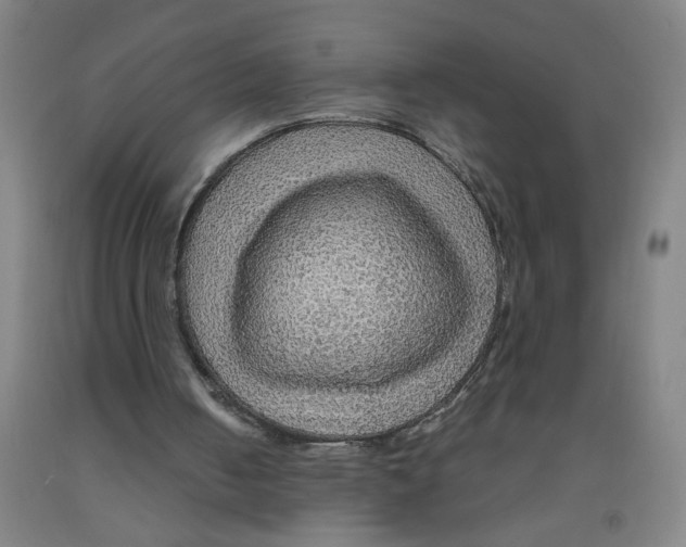 X0000091960050200709271355