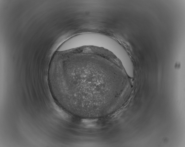 X0000091960051200709271355