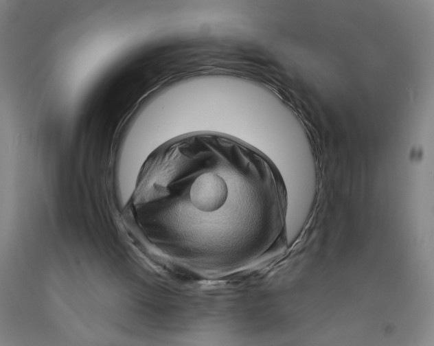 X0000091960052200709271355