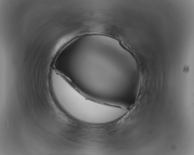 X0000091960054200709271355