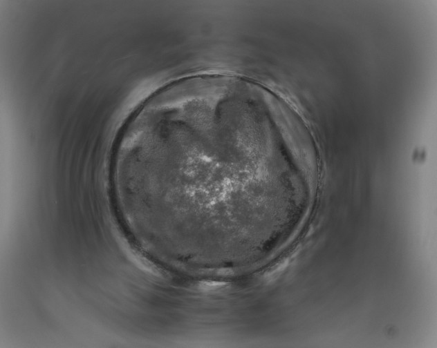 X0000091960055200709271355