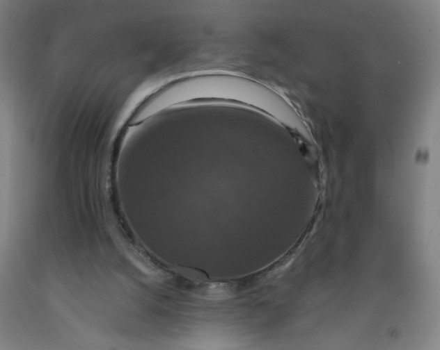 X0000091960056200709271355