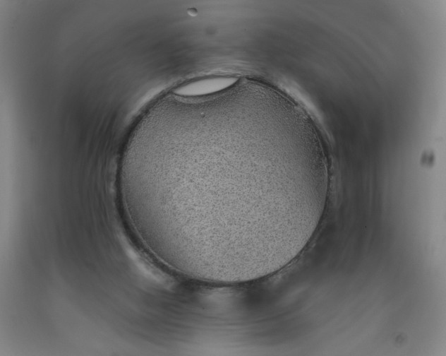 X0000091960058200709271355