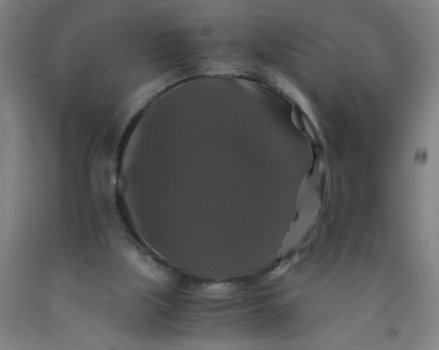 X0000091960059200709271355