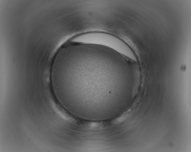 X0000091960060200709271355