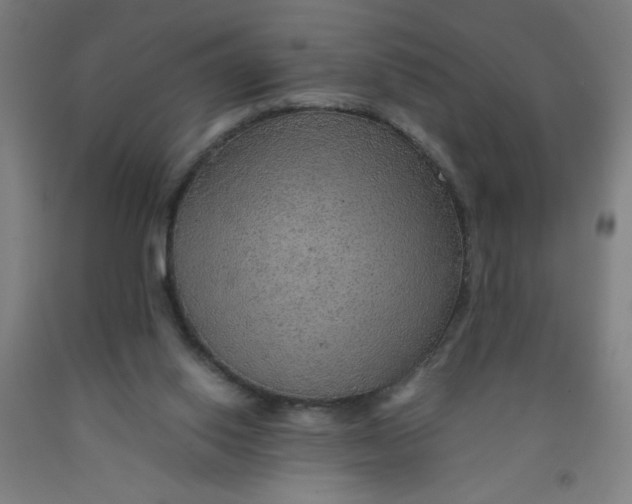 X0000091960062200709271355