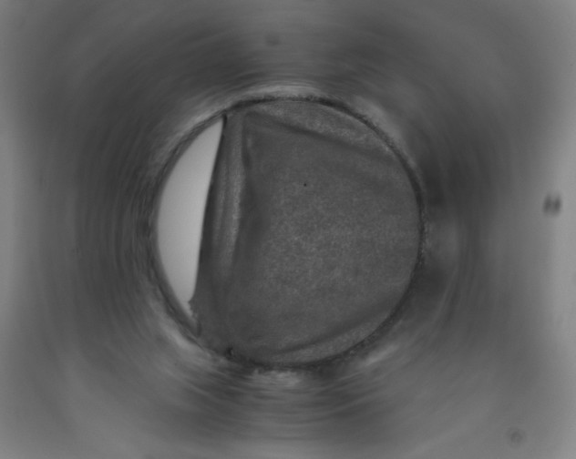 X0000091960063200709271355