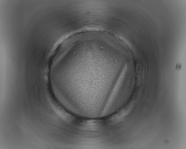 X0000091960064200709271355