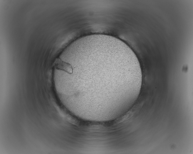 X0000091960066200709271355