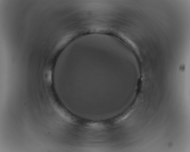 X0000091960067200709271355