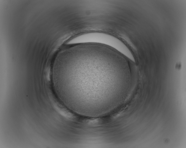 X0000091960068200709271355