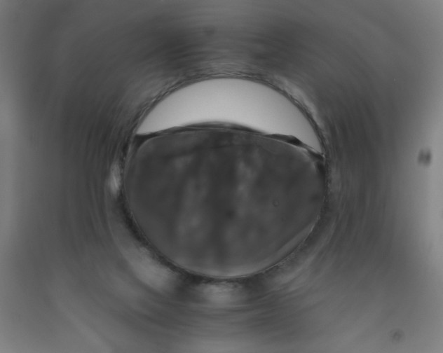 X0000091960069200709271355