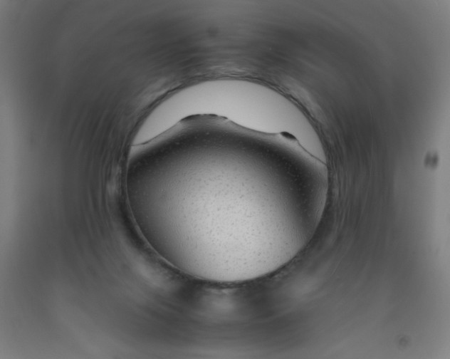 X0000091960071200709271355