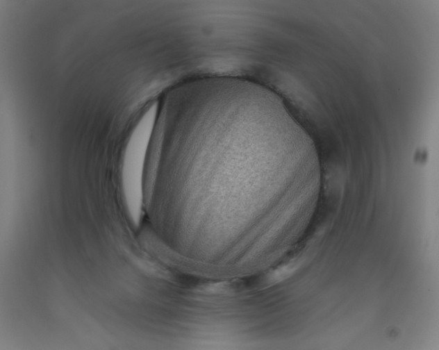 X0000091960072200709271355