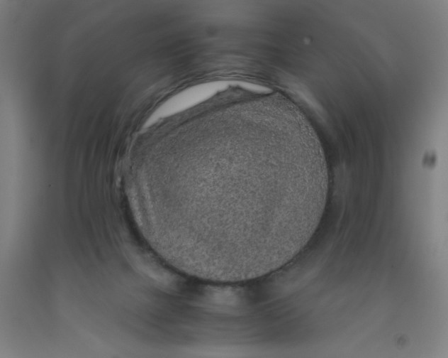 X0000091960073200709271355