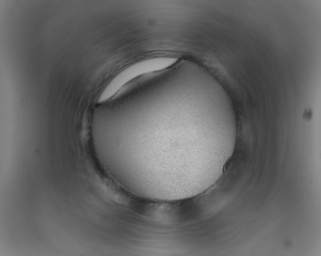 X0000091960074200709271355